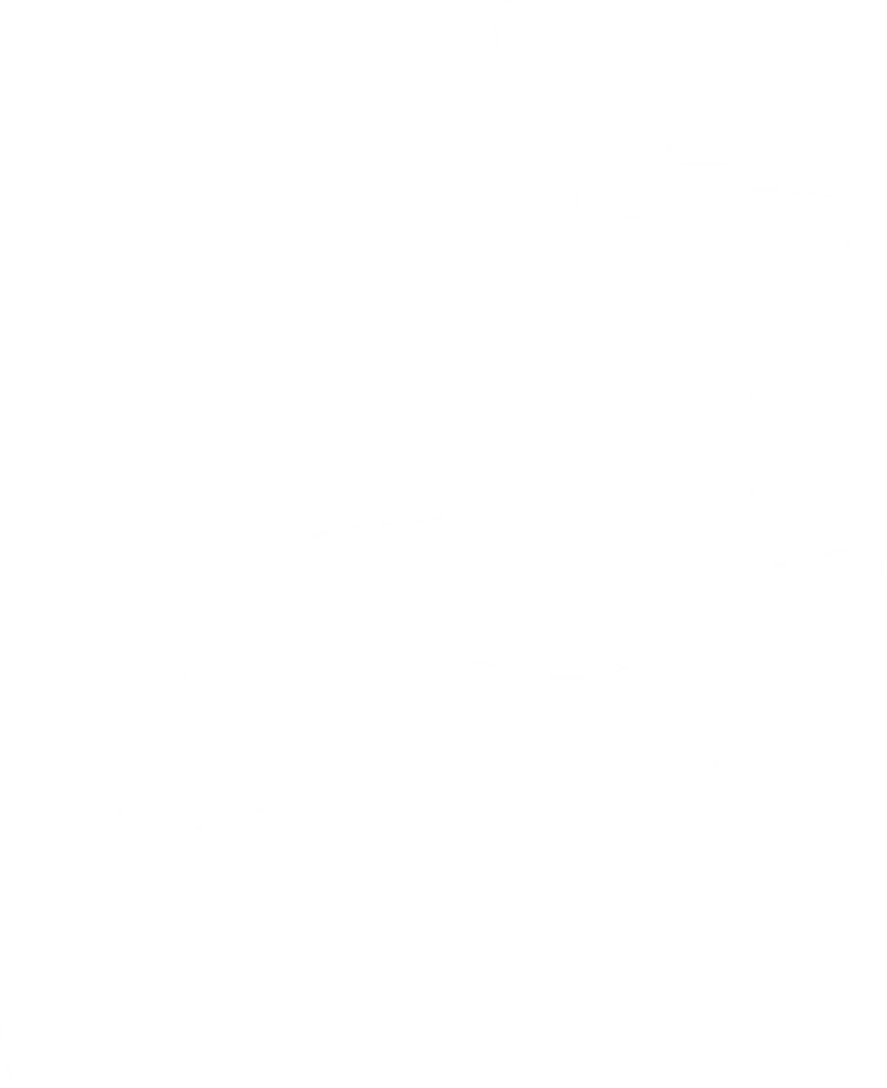 Agents And Avatars Deer Logo